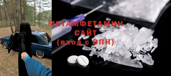 прущие грибы Медвежьегорск