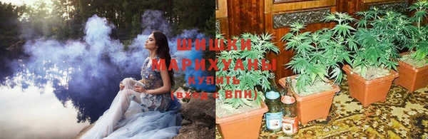 амф Магас