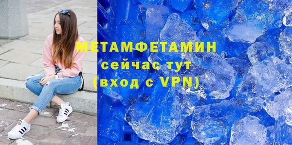 прущие грибы Медвежьегорск