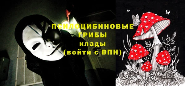 амф Магас