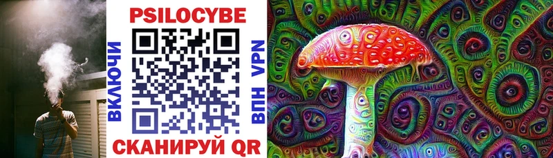 Галлюциногенные грибы Psilocybe  Нурлат 