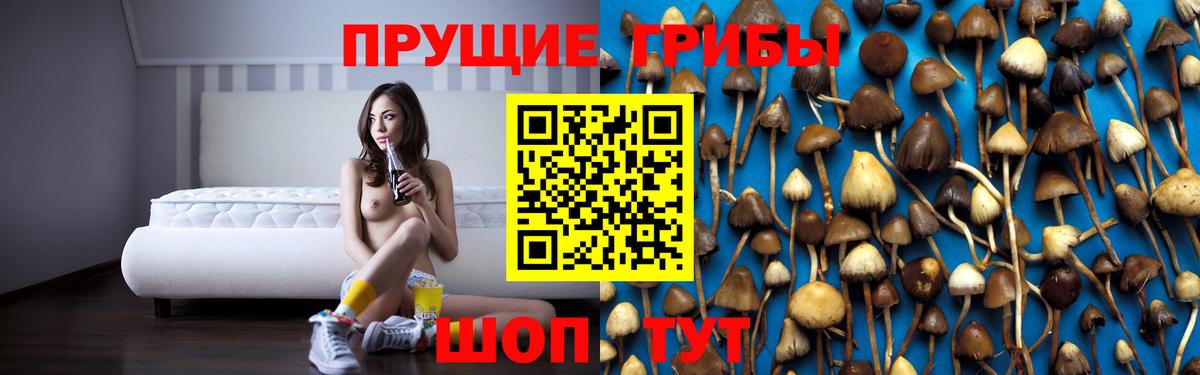 Псилоцибиновые грибы MAGIC MUSHROOMS  Галлюциногенные грибы Cubensis  Вход с VPN  Нурлат 